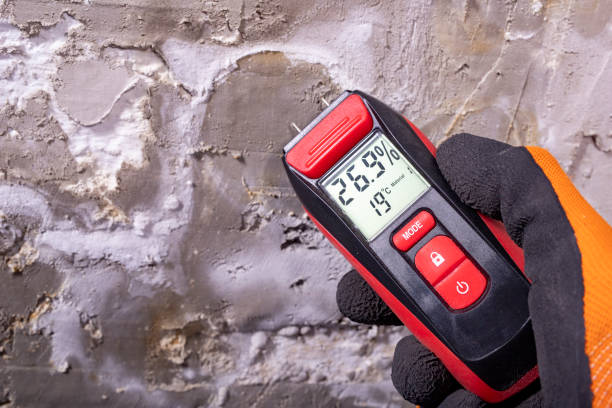 Best Mold Cleaning Services  in Davis, CA