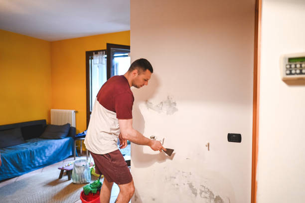 Best Affordable Mold Removal  in Davis, CA