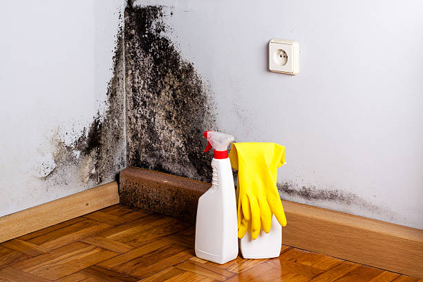 Best Crawl Space Mold Removal  in Davis, CA